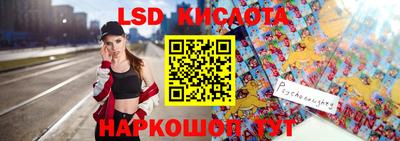 крисы Гай