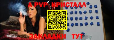 крисы Гай
