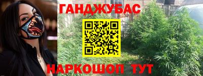 крисы Гай