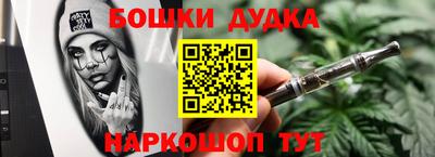 крисы Гай