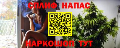 крисы Гай